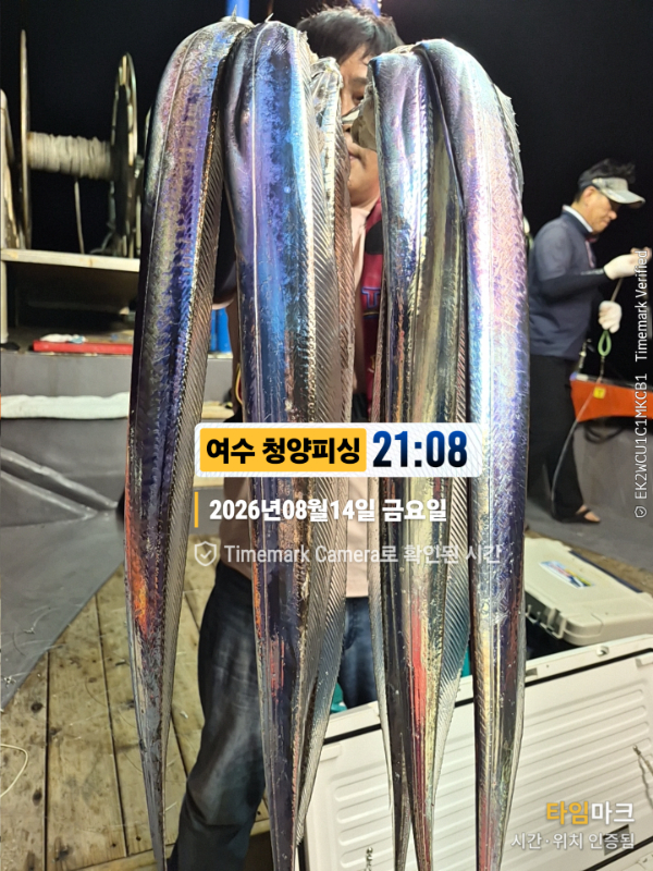 2026-08-14 21.08.21__(제목-여수 청양피싱).jpg
