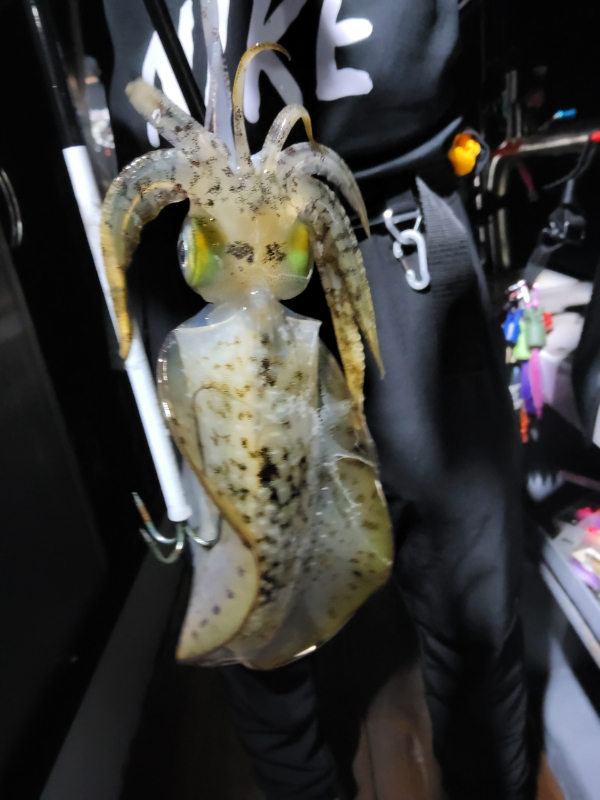 BandPhoto_2026_08_27_02_33_00_9.jpg