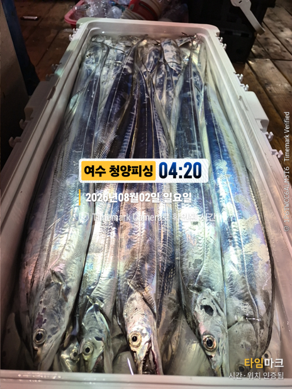 2026-08-02 04.20.50__(제목-여수 청양피싱).jpg