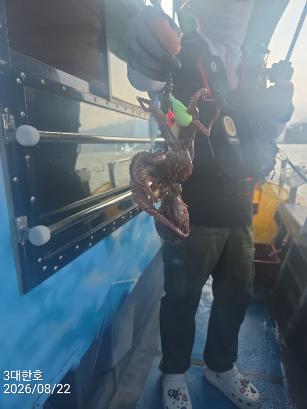 31777.jpg
