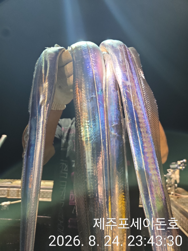 1000041458.jpg