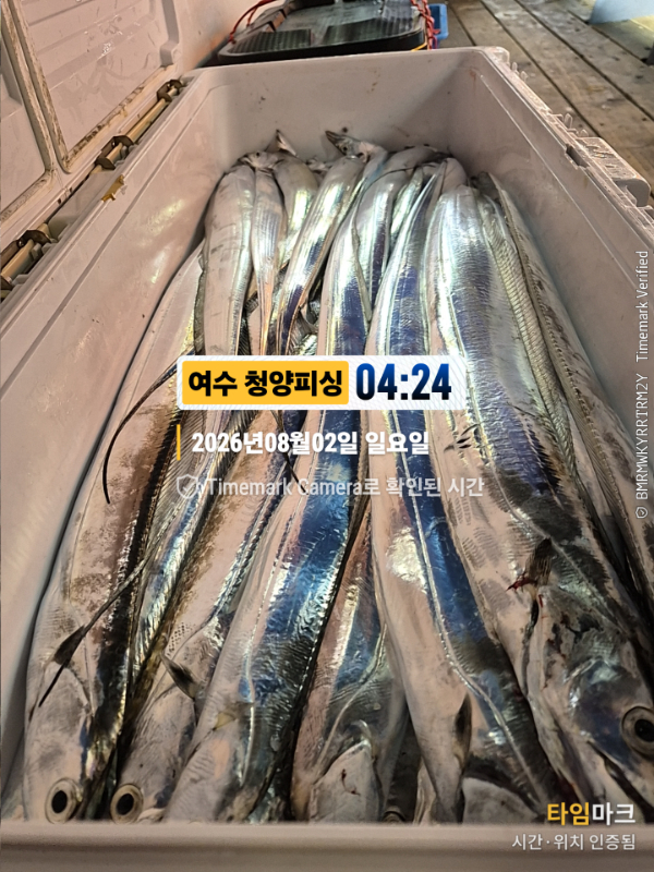 2026-08-02 04.24.43__(제목-여수 청양피싱).jpg