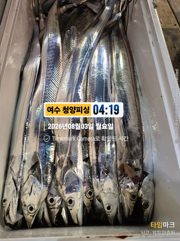 2026-08-03 04.19.49__(제목-여수 청양피싱).jpg