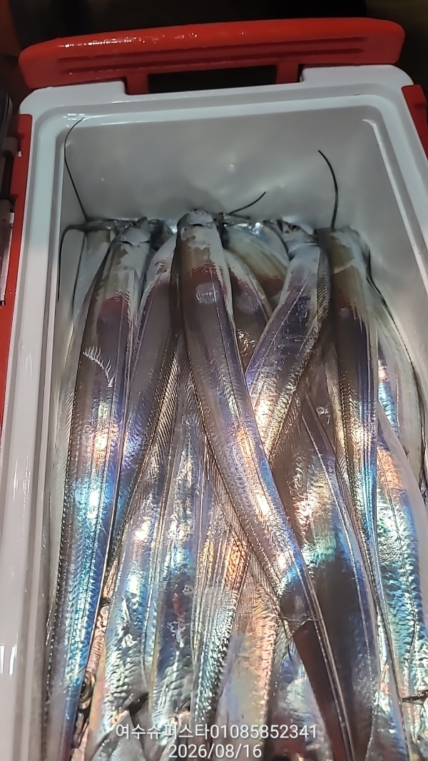 65575.jpg