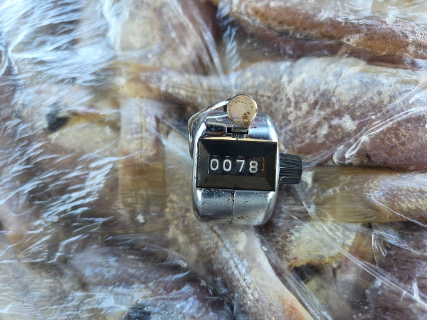 21477.jpg