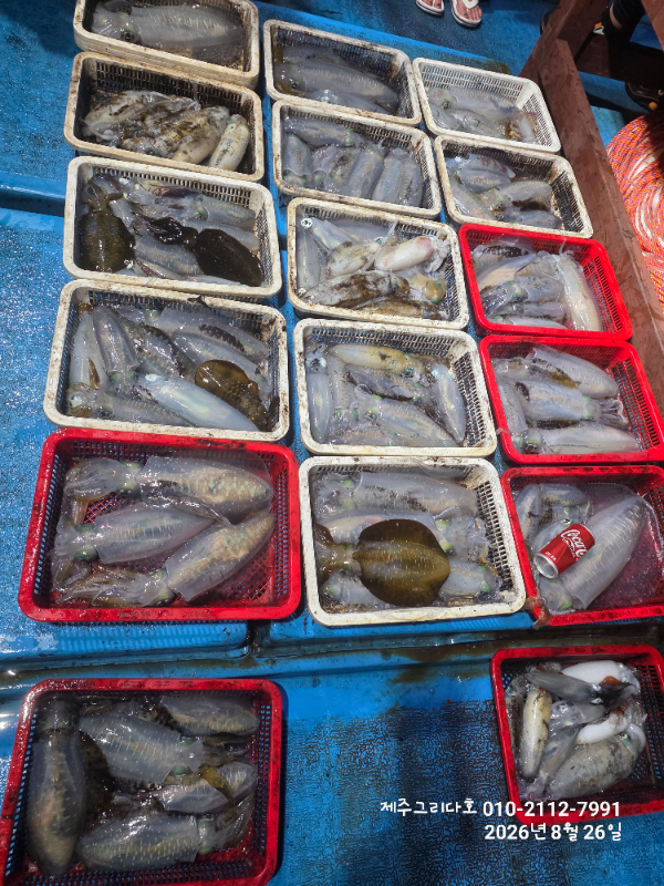14061.jpg