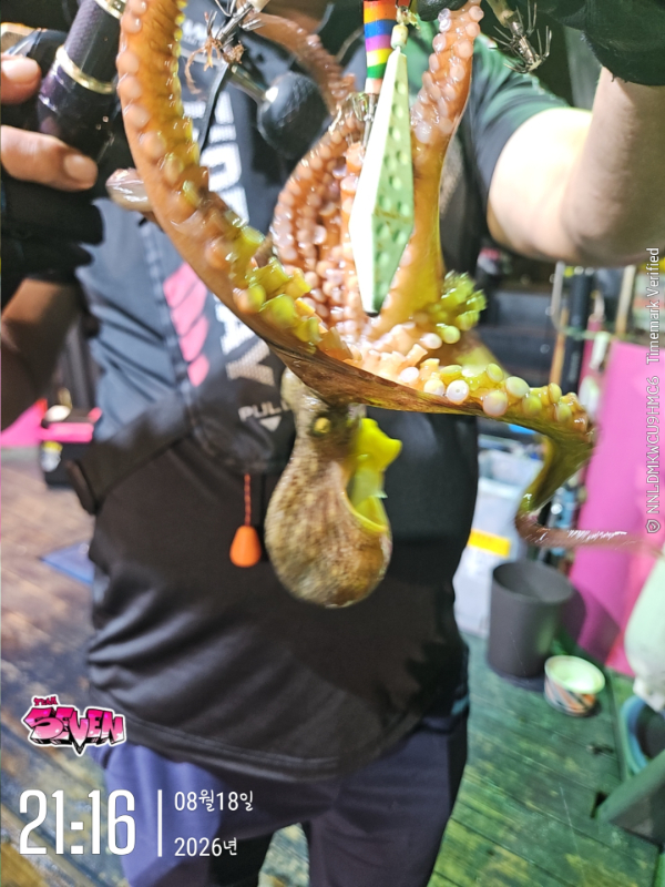 KakaoTalk_20260819_064316929_06.jpg