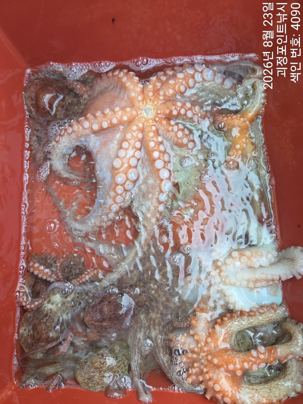 KakaoTalk_20260823_154119514_13.jpg
