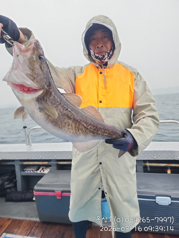 IMG_20260816_093914.jpg