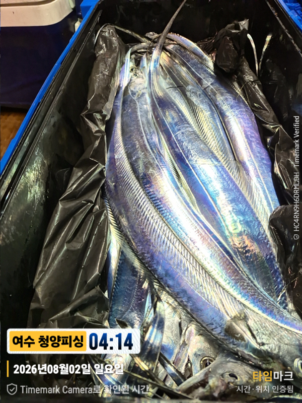 2026-08-02 04.14.33__(제목-여수 청양피싱).jpg