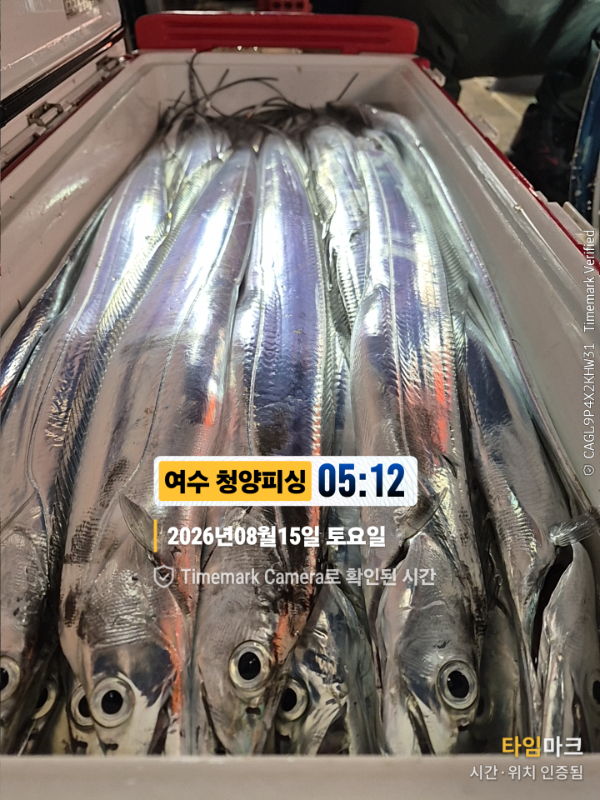 2026-08-15 05.12.11__(제목-여수 청양피싱).jpg