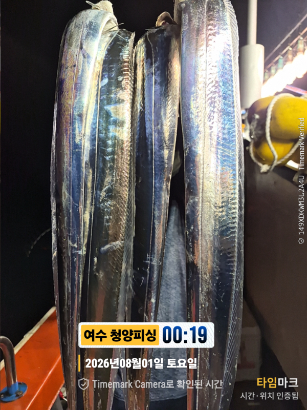 2026-08-01 00.19.36__(제목-여수 청양피싱).jpg