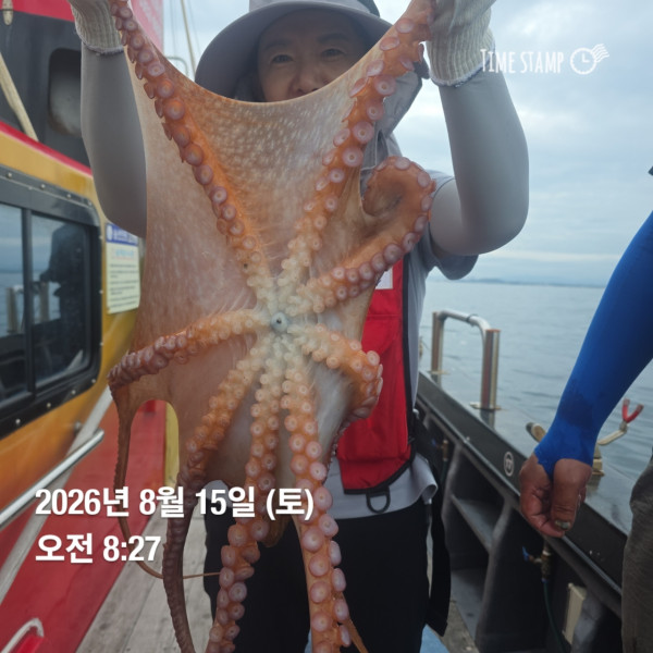 공현진낚시마트(돌핀호)_사진_20260815_5.jpg