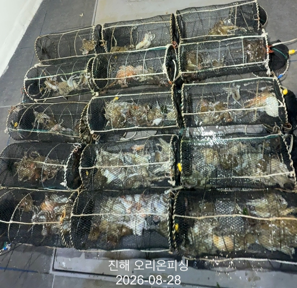 KakaoTalk_20260828_023951133_11.jpg