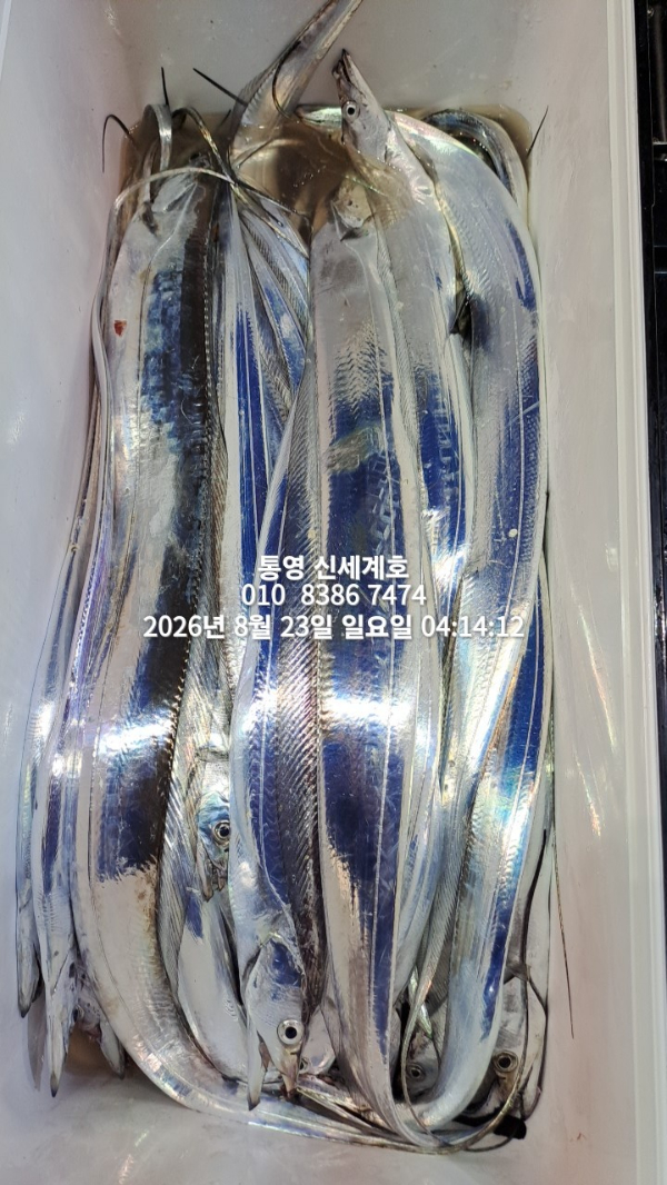 1787435989842.jpg