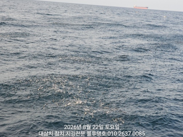 1000066773.jpg