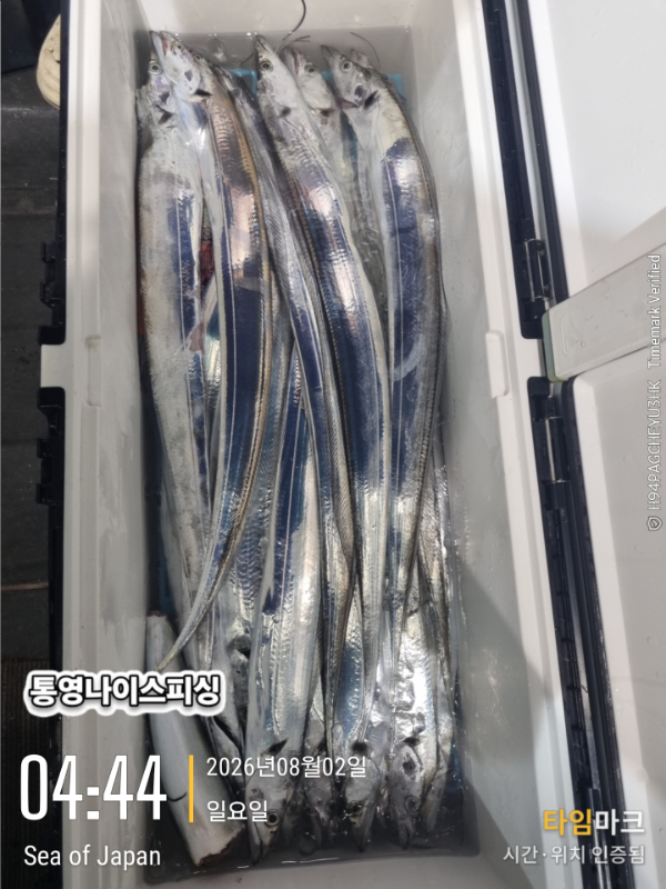 2026-08-02 04.44.46_Japan.jpg