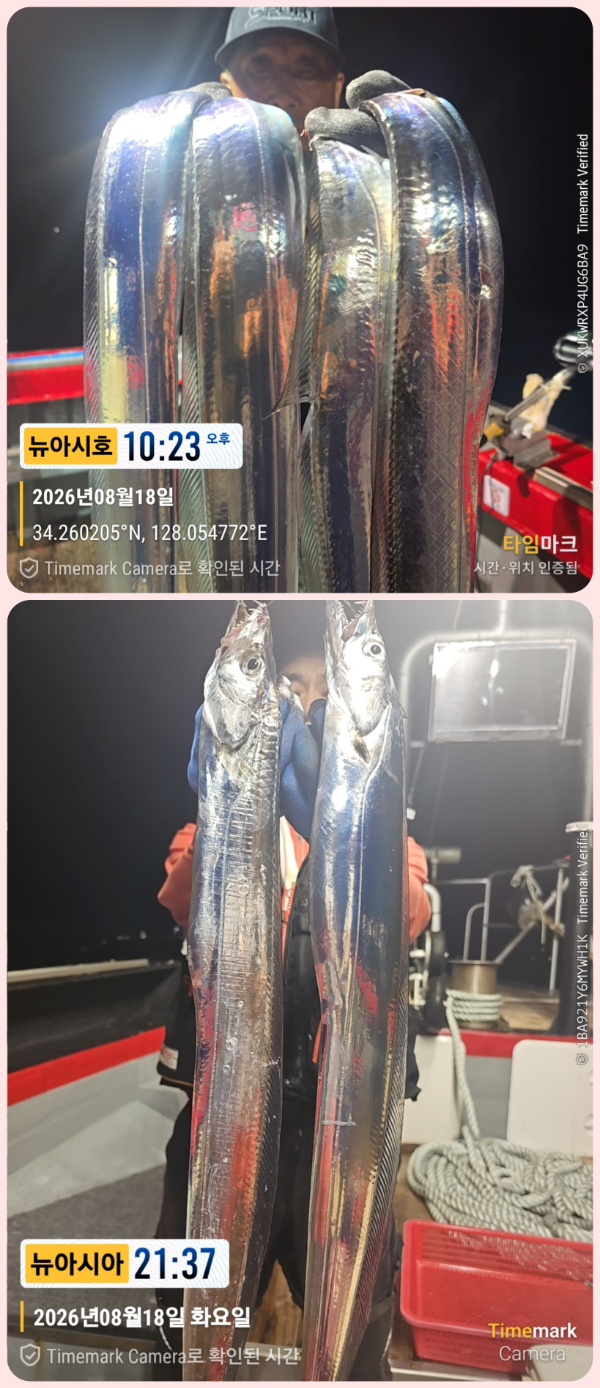 KakaoTalk_20260819_055735323_20-down.jpg