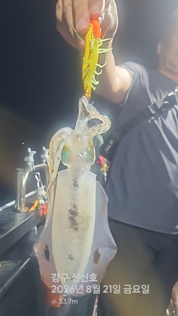 신신낚시 강구점 신신호_사진_20260822_13.jpg