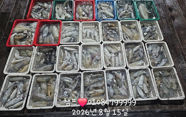 1000062205.jpg