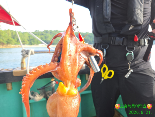 쎄븐피싱클럽(선상 버스출조전문)_사진_20260821_12.jpg