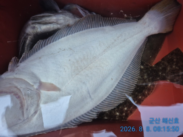 군산해신호_사진_20260808_14.jpg