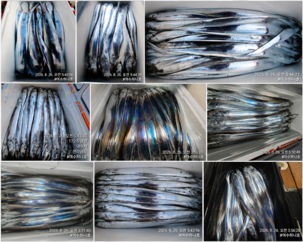 file_00000000a1a08208897c21503428a1aa.png