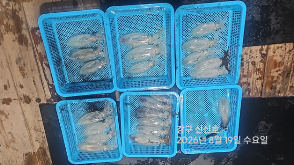 신신낚시 강구점 신신호_사진_20260820_16.jpg