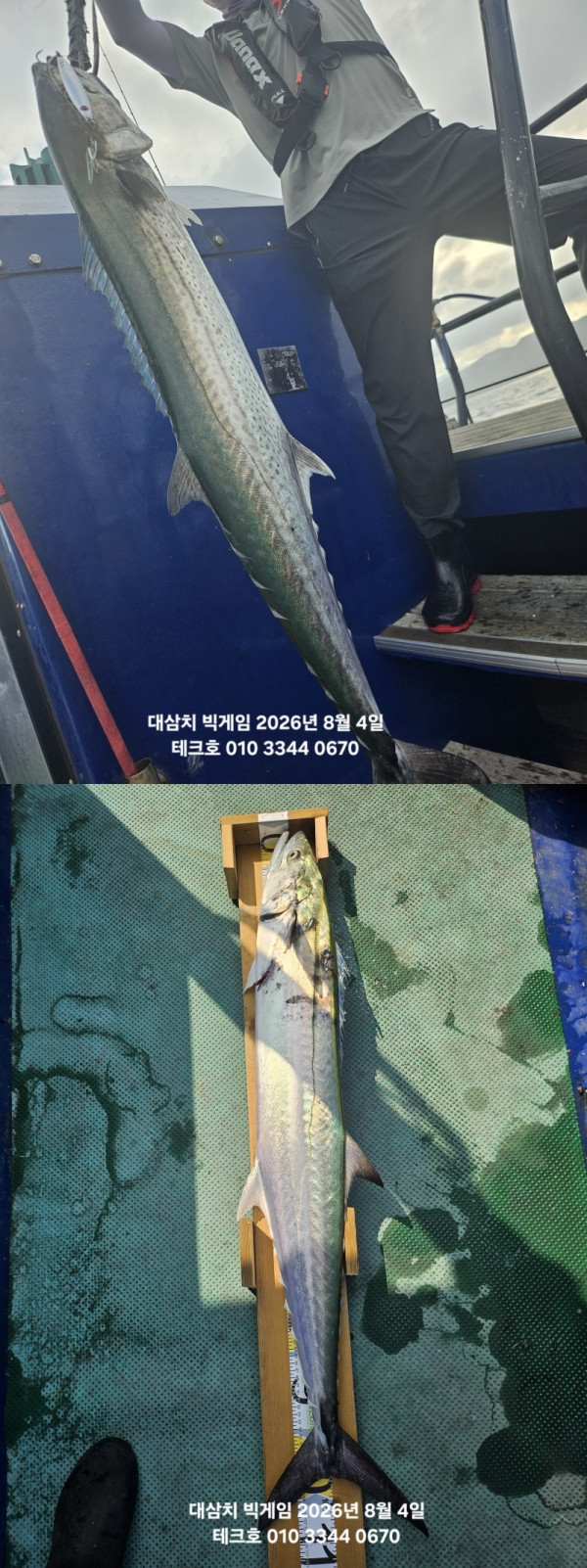 KakaoTalk_20260804_181430185_03-vert.jpg