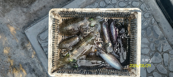 DateCamera0829084738.jpg
