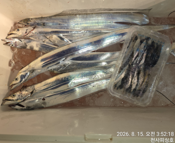 1004피싱_사진_20260815_9.jpg