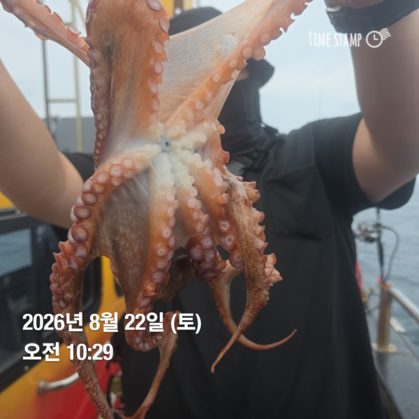 공현진낚시마트(돌핀호)_사진_20260822_5.jpg