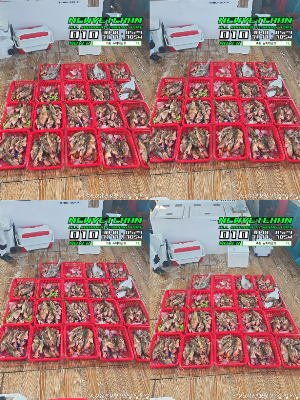 60867.jpg