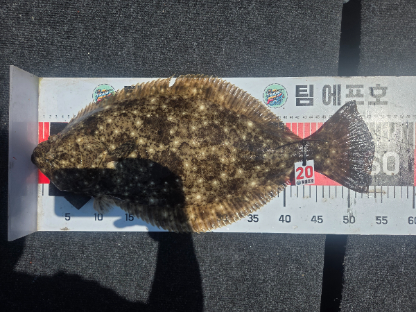 KakaoTalk_20260803_011532390_14.jpg