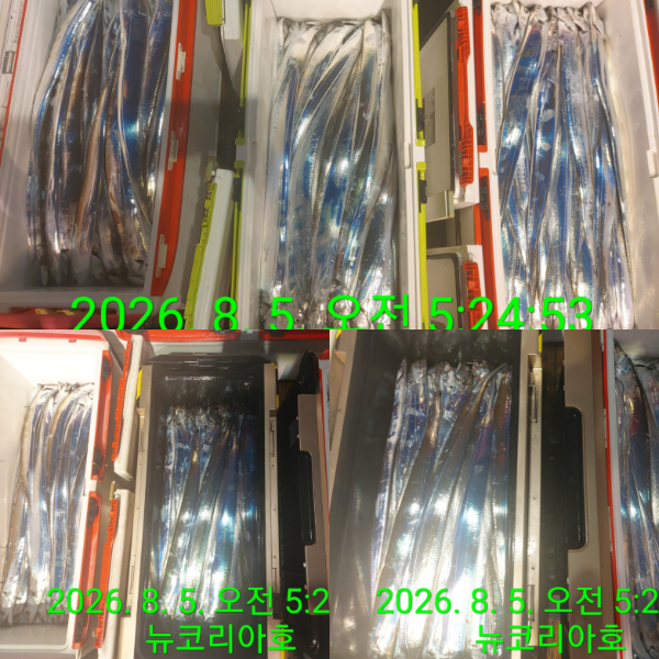 1000084420.jpg
