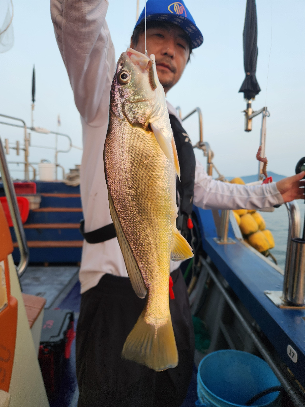 KakaoTalk_20260807_201645232_03.jpg