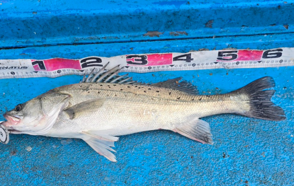 1786785044604.jpg