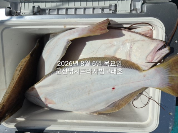 KakaoTalk_20260806_161146142_01.jpg