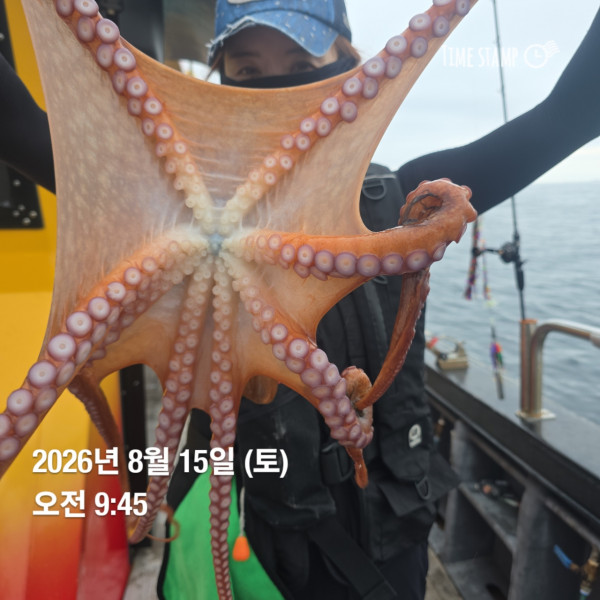 공현진낚시마트(돌핀호)_사진_20260815_9.jpg