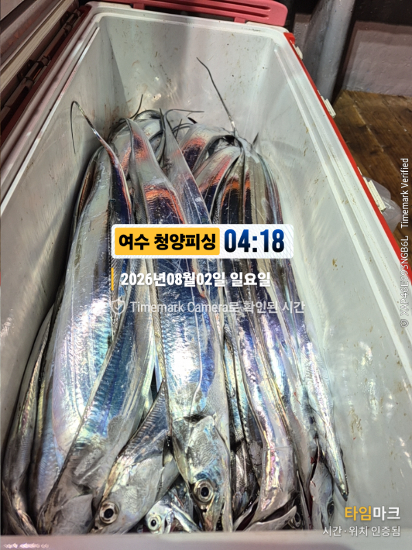 2026-08-02 04.18.53__(제목-여수 청양피싱).jpg
