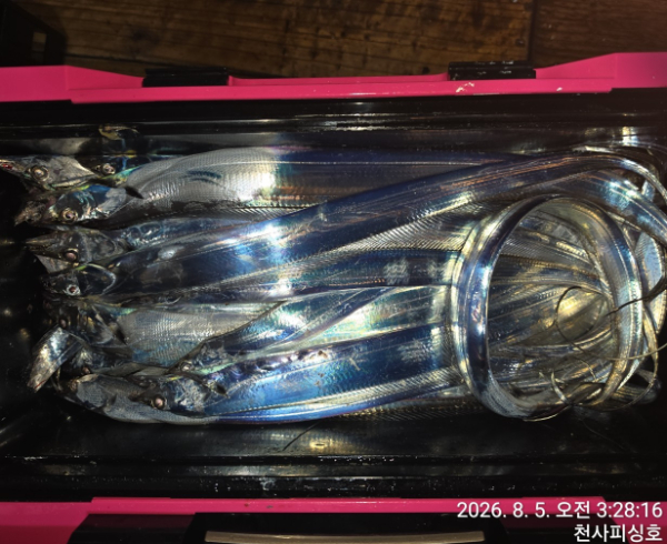1004피싱_사진_20260805_11.jpg