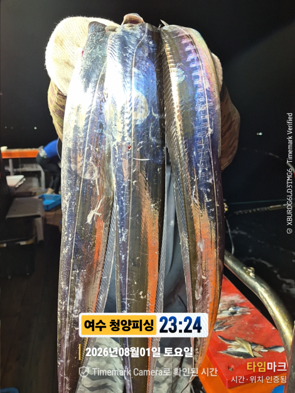 2026-08-01 23.24.38__(제목-여수 청양피싱).jpg