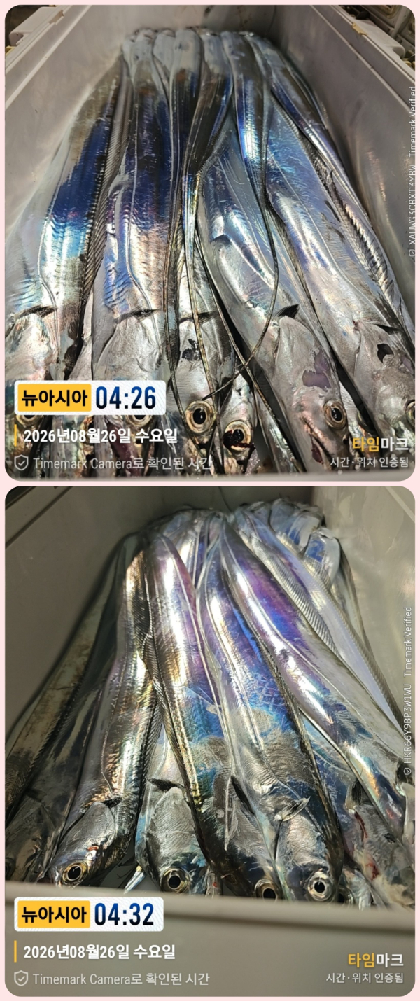 KakaoTalk_20260826_063022125_03-down.jpg