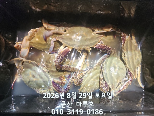 1000014350.jpg