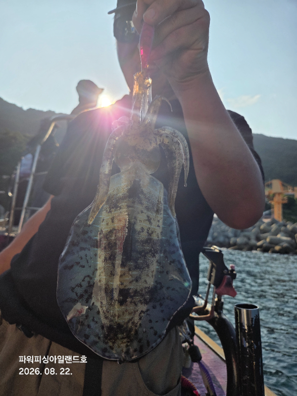 20260822_165530.jpg