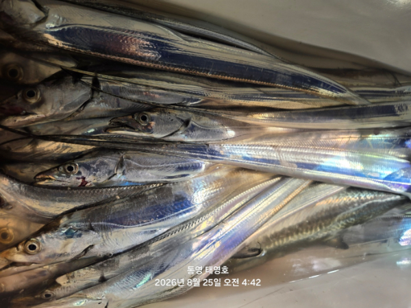 KakaoTalk_20260825_063119880_04.jpg