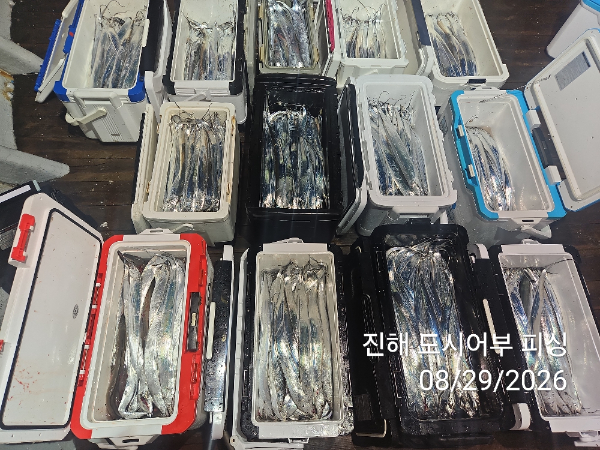 KakaoTalk_20260829_050630697_08.jpg