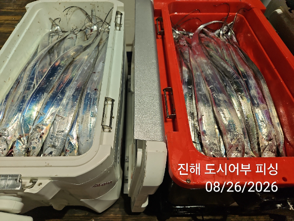 KakaoTalk_20260826_052535049_14.jpg