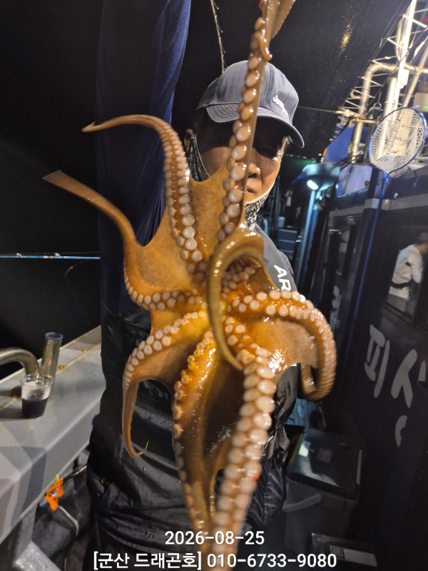 KakaoTalk_20260826_183103330_07.jpg