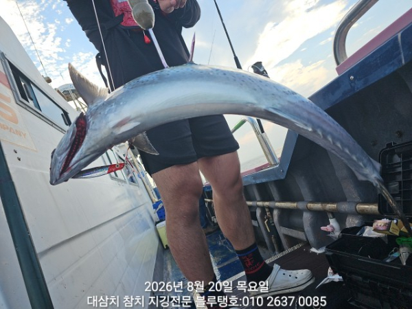 20260820_174015.jpg